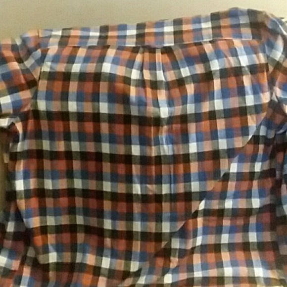 SADDLEBRED - Picture 3 of 3